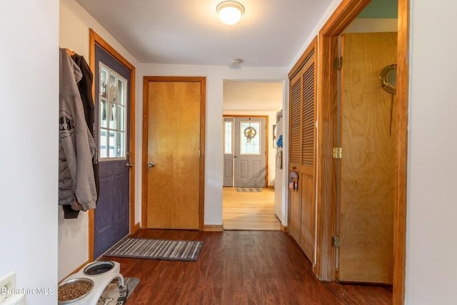 interior space featuring dark wood-type flooring