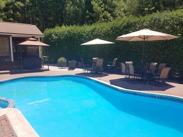 view of swimming pool with a patio area