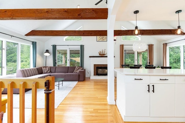 10 Longmeadow Ln, Medway, MA 02053 - living room featuring light wood-type flooring and a brick fireplace