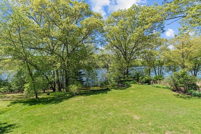 35 Crest Rd, Framingham, MA 01702 - view of grassy yard