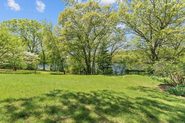 35 Crest Rd, Framingham, MA 01702 - view of green lawn