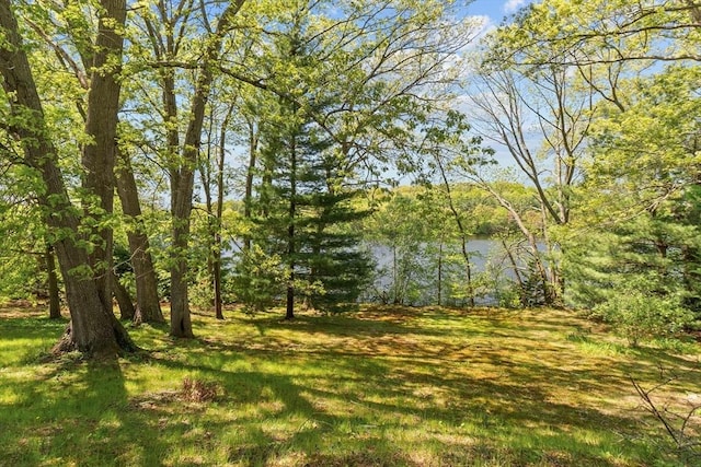 35 Crest Rd, Framingham, MA 01702 - view of local wilderness