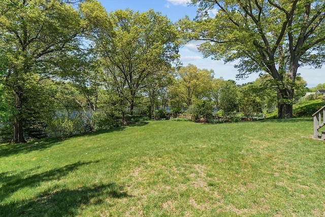 35 Crest Rd, Framingham, MA 01702 - view of green lawn