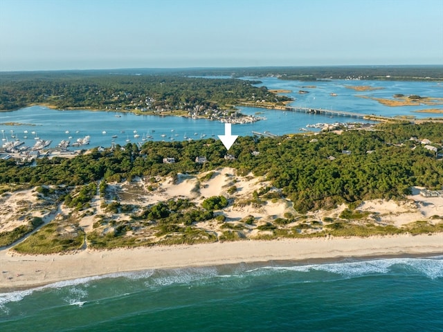 bird's eye view with a view of the beach and a water view