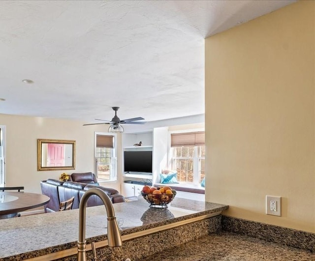 interior space featuring a healthy amount of sunlight and ceiling fan