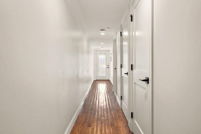 109 Eutaw St, Boston, MA 02128 - corridor with dark wood-style flooring and baseboards