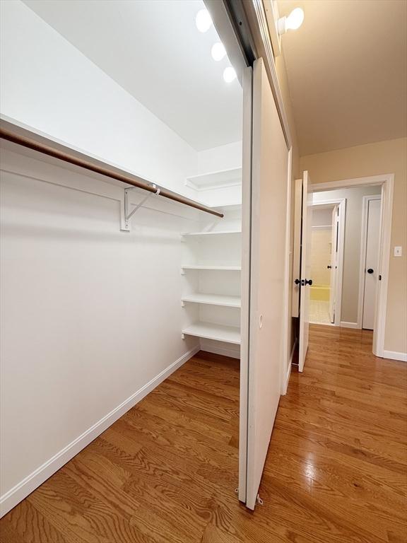 spacious closet with wood-type flooring