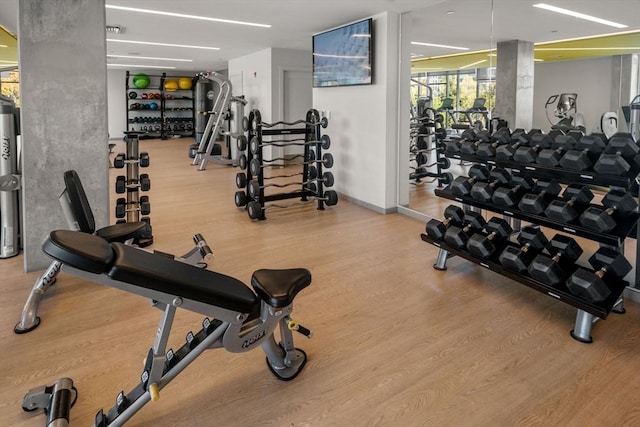 gym featuring hardwood / wood-style flooring