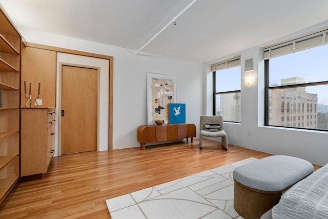 453 Washington St Unit 11E, Boston, MA 02111 - sitting room featuring light wood-style flooring