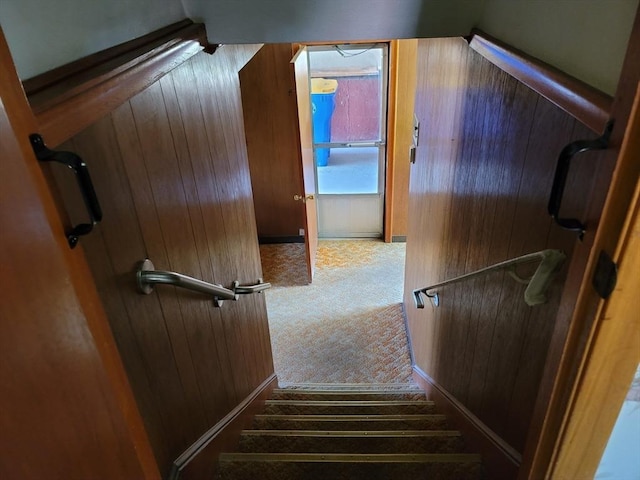 stairs with carpet flooring and wooden walls