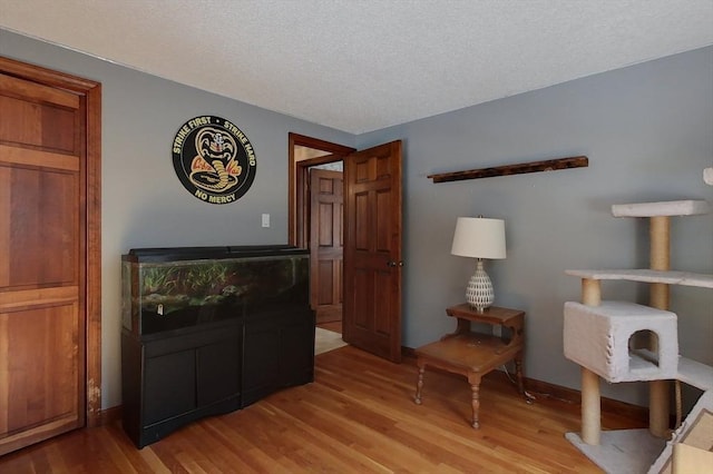 living room with wood finished floors, baseboards, and a textured ceiling