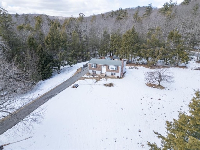 snowy aerial view featuring a view of trees