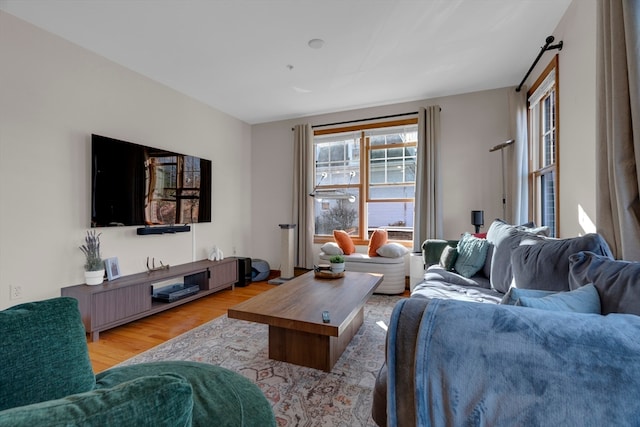 living room featuring light hardwood / wood-style flooring