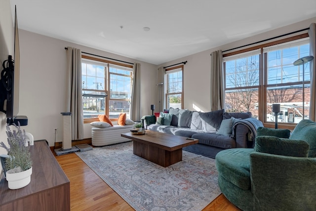 living room featuring light hardwood / wood-style floors