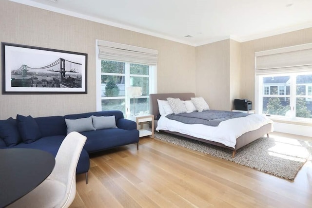 bedroom featuring wood-type flooring