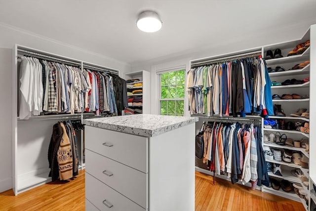 115 Elm St, Andover, MA 01810 - spacious closet featuring light wood-style flooring