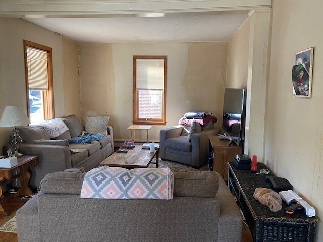 living room featuring a wealth of natural light and hardwood / wood-style floors