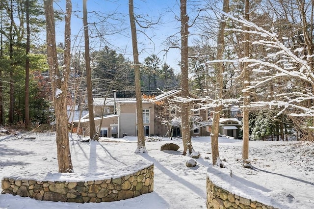 view of yard covered in snow