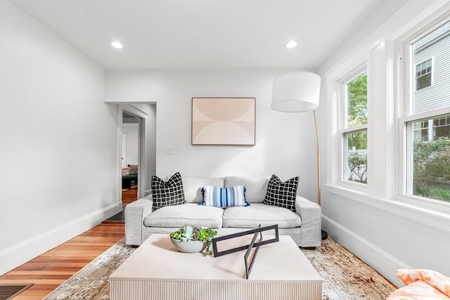 living room with wood-type flooring