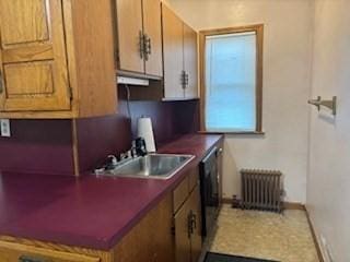 1774 Carew St, Springfield, MA 01104 - kitchen with radiator heating unit, a sink, and baseboards