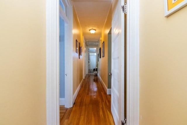 18 Dighton St Unit 18, Boston, MA 02135 - corridor with wood finished floors and baseboards