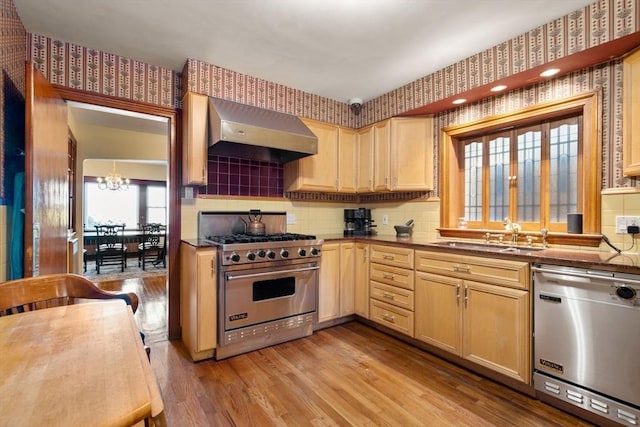 kitchen with decorative backsplash, light wood-type flooring, a sink, appliances with stainless steel finishes, and exhaust hood