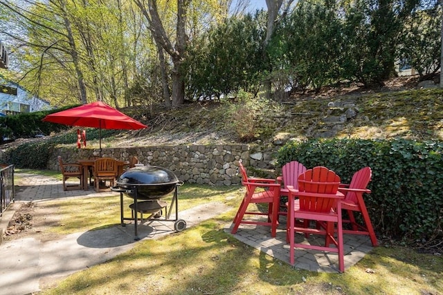 view of yard featuring a patio area