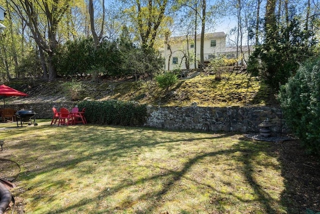 view of yard with a playground