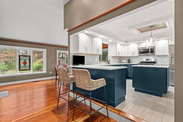 kitchen featuring a sink, a tray ceiling, stainless steel appliances, and light countertops