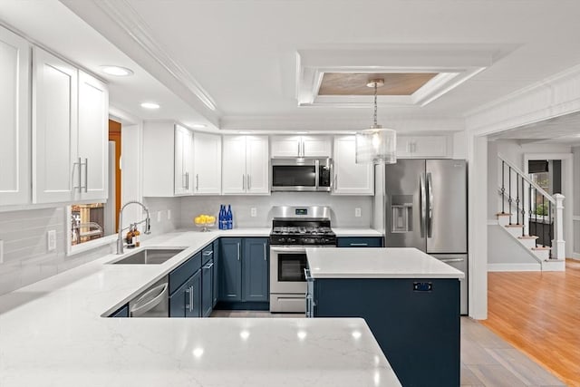 kitchen with crown molding, stainless steel appliances, a raised ceiling, a sink, and blue cabinets