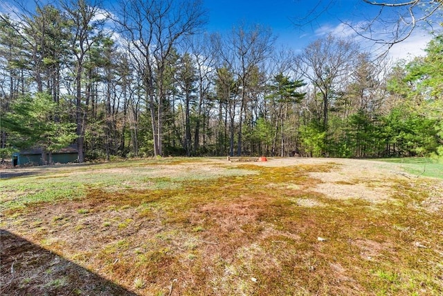 13 Old Gardner Rd, Westminster, MA 01473 - view of yard with a view of trees