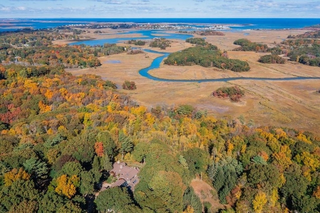 drone / aerial view with a forest view and a water view