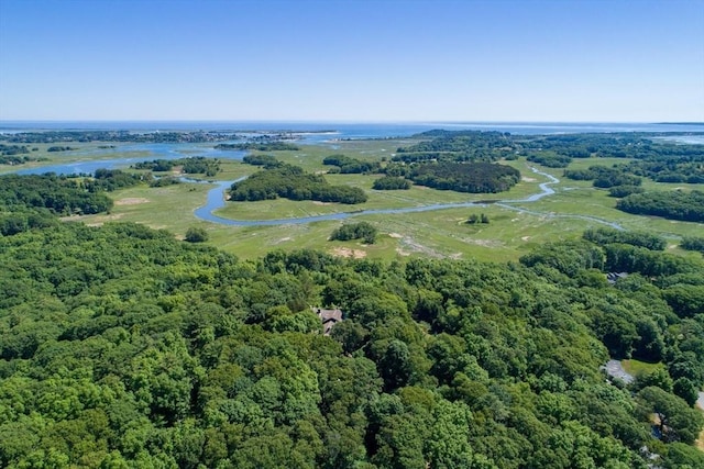 birds eye view of property featuring a wooded view and a water view