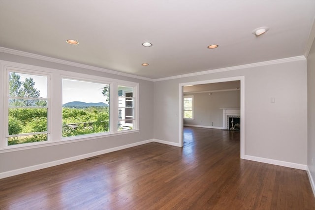 53 Iduna Ln, Amherst, MA 01002 - spare room with dark wood finished floors, ornamental molding, recessed lighting, and a fireplace