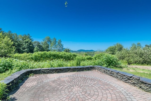 53 Iduna Ln, Amherst, MA 01002 - view of patio