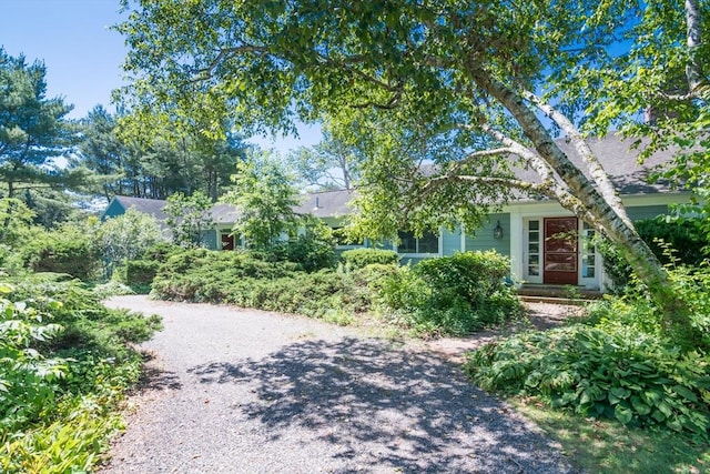 53 Iduna Ln, Amherst, MA 01002 - view of property hidden behind natural elements