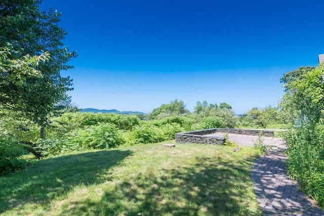 53 Iduna Ln, Amherst, MA 01002 - view of green lawn