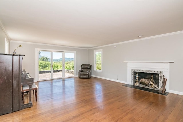 53 Iduna Ln, Amherst, MA 01002 - living room featuring crown molding, wood finished floors, and a fireplace with flush hearth