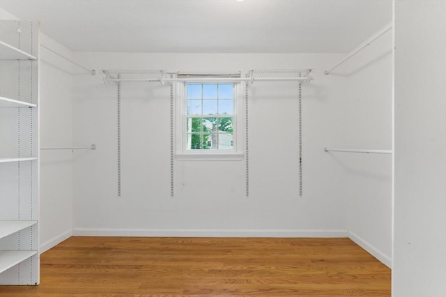6 Willow Park, Wellesley, MA 02481 - spacious closet with light wood-style flooring