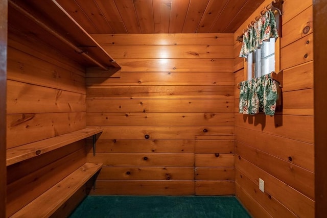 301 May St, Worcester, MA 01602 - spacious closet with carpet