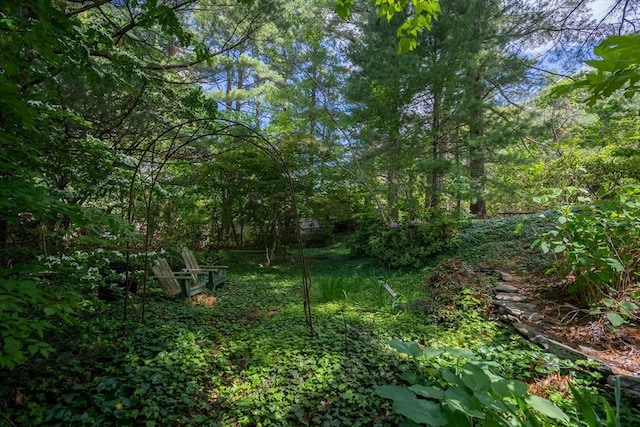 301 May St, Worcester, MA 01602 - view of local wilderness