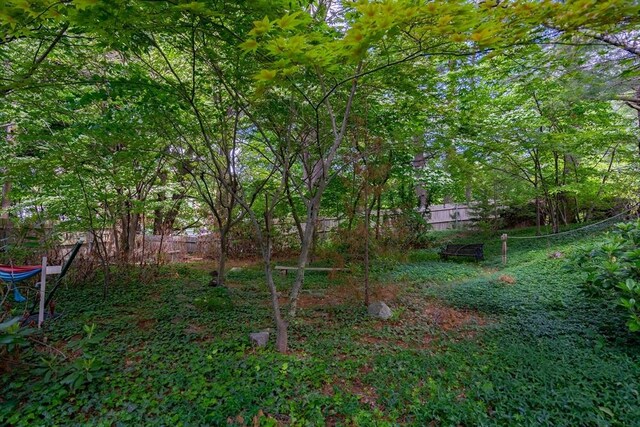 301 May St, Worcester, MA 01602 - view of yard