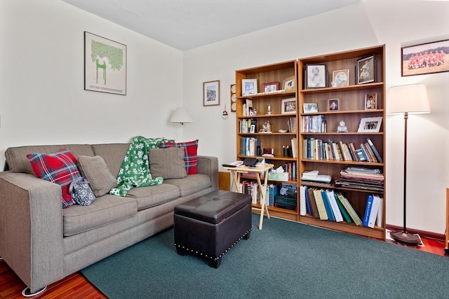 living room with wood finished floors