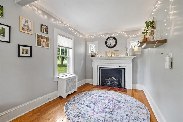60 Brookfield Rd, Sturbridge, MA 01518 - living area with radiator, wood finished floors, a fireplace with flush hearth, and ornamental molding