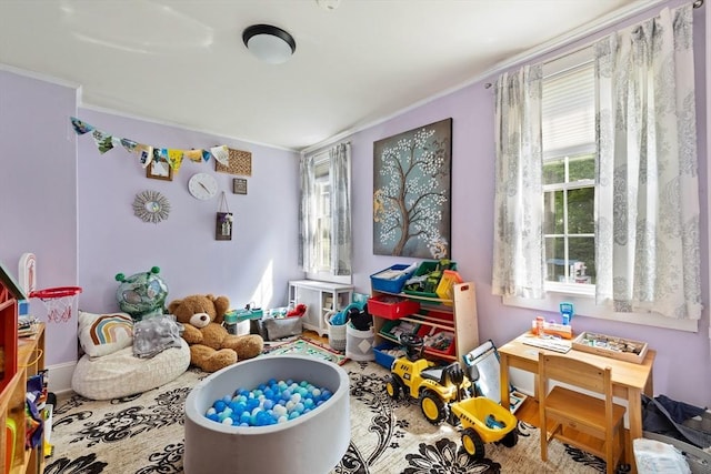 60 Brookfield Rd, Sturbridge, MA 01518 - recreation room with ornamental molding