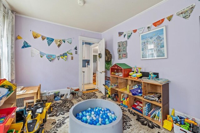 60 Brookfield Rd, Sturbridge, MA 01518 - rec room featuring ornamental molding
