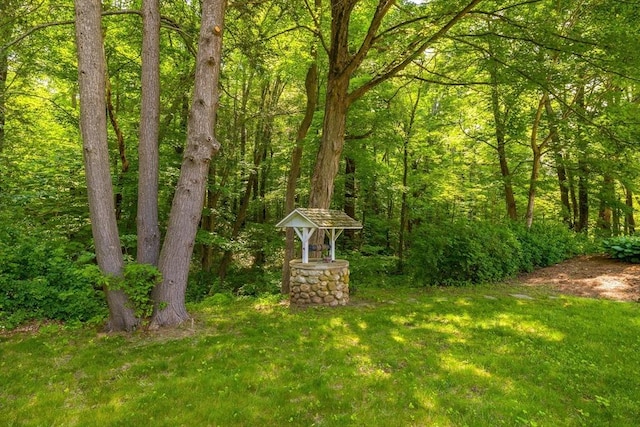 60 Brookfield Rd, Sturbridge, MA 01518 - view of green lawn featuring a forest view