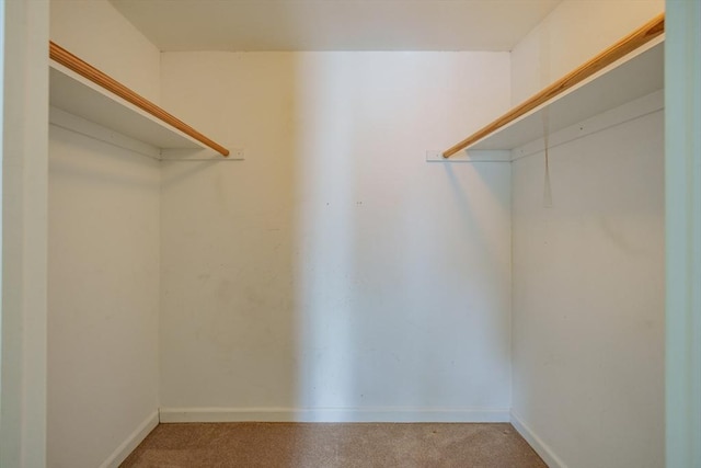 spacious closet with light carpet