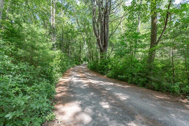 70 Oak St, Norton, MA 02766 - view of road with a wooded view