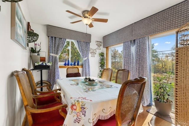 dining area featuring hardwood / wood-style floors, a wealth of natural light, and ceiling fan